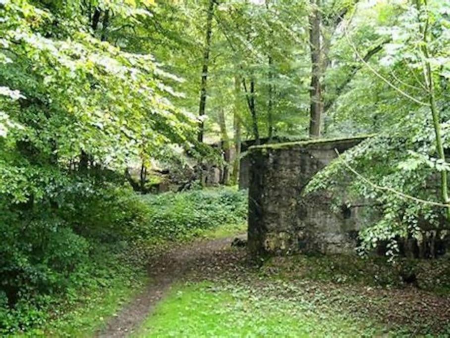 Gite Cosy Pour 2 A 4 Personnes, Village Proche Mulhouse Burnhaupt-le-Bas エクステリア 写真