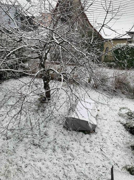 Gite Cosy Pour 2 A 4 Personnes, Village Proche Mulhouse Burnhaupt-le-Bas エクステリア 写真