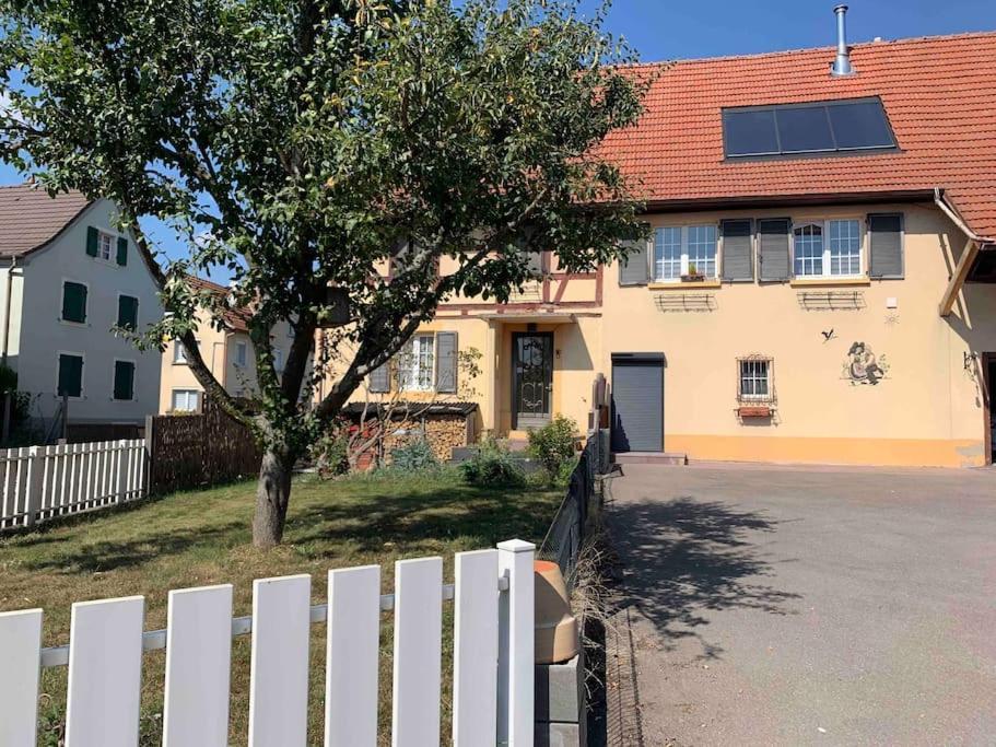 Gite Cosy Pour 2 A 4 Personnes, Village Proche Mulhouse Burnhaupt-le-Bas エクステリア 写真